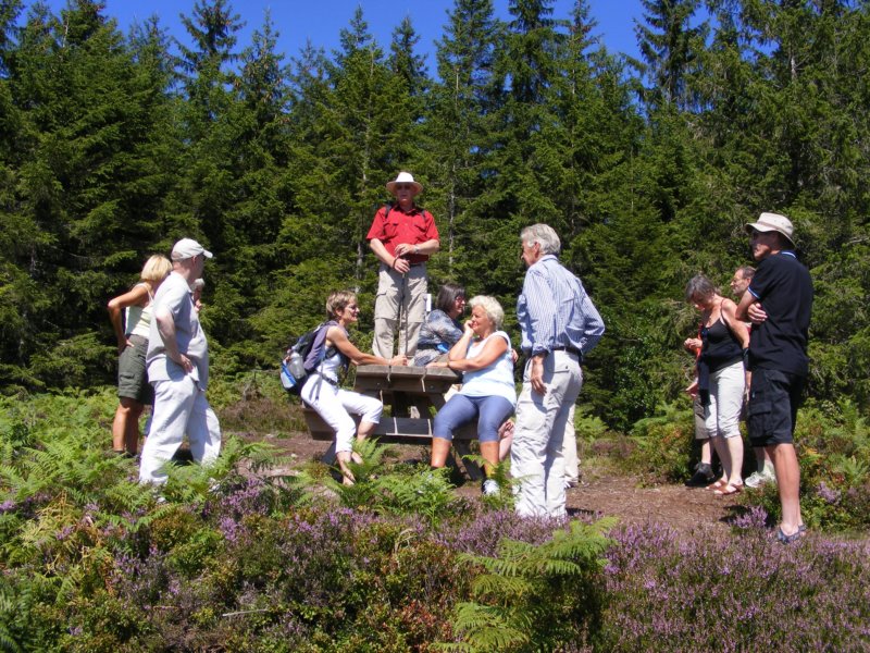 dscf5135.jpg